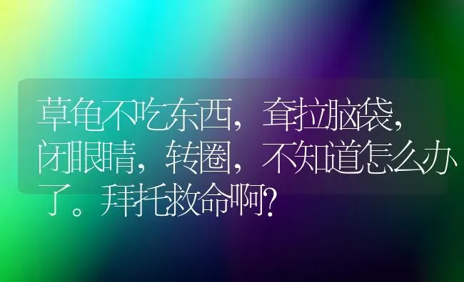 草龟不吃东西，耷拉脑袋，闭眼睛，转圈，不知道怎么办了。拜托救命啊？ | 动物养殖问答