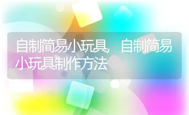 自制简易小玩具,自制简易小玩具制作方法 | 宠物百科知识