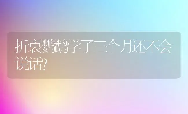 折衷鹦鹉学了三个月还不会说话？ | 动物养殖问答