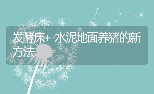 发酵床+水泥地面养猪的新方法 | 动物养殖学堂