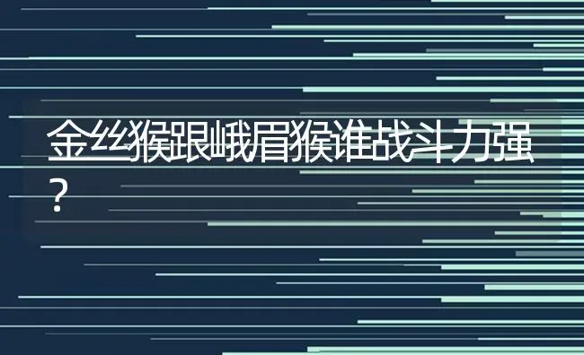 金丝猴跟峨眉猴谁战斗力强？ | 动物养殖问答