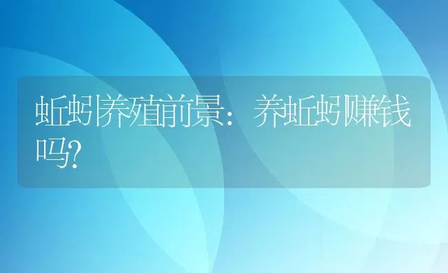 蚯蚓养殖前景：养蚯蚓赚钱吗？ | 动物养殖百科