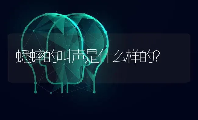 蟋蟀的叫声是什么样的？ | 动物养殖问答