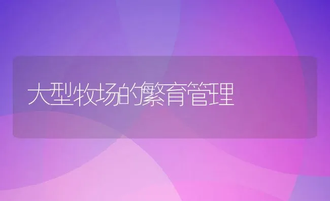 大型牧场的繁育管理 | 动物养殖学堂