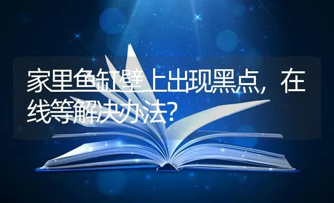 家里鱼缸壁上出现黑点，在线等解决办法？ | 鱼类宠物饲养