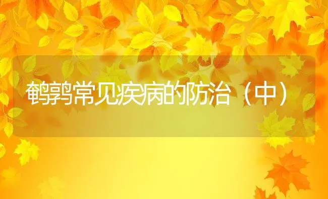 夏季耕牛中暑的防治 | 动物养殖学堂