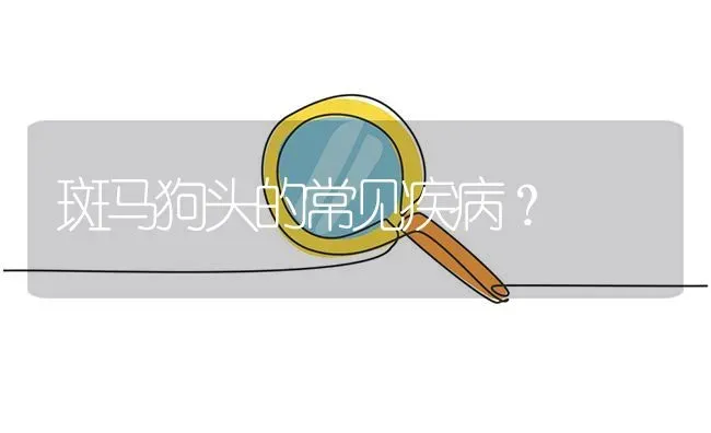 斑马狗头的常见疾病？ | 鱼类宠物饲养