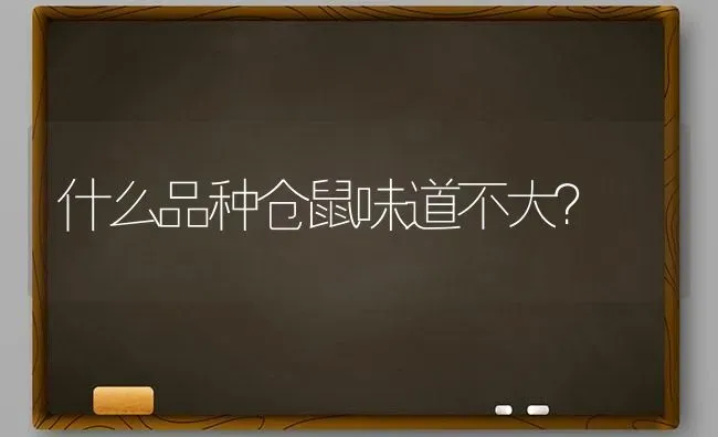 我想买只猫最便宜的多少钱一只？ | 动物养殖问答