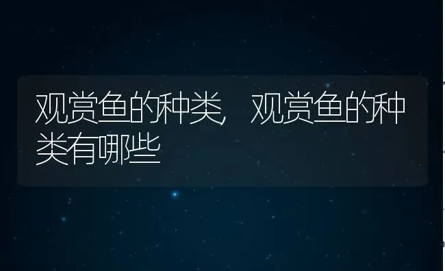 观赏鱼的种类,观赏鱼的种类有哪些 | 宠物百科知识