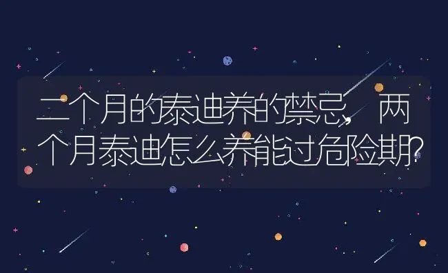 七星瓢虫的习性,七星瓢虫的特征和生活方式 | 宠物百科知识