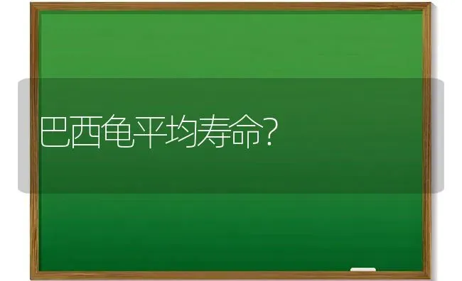 巴西龟平均寿命？ | 动物养殖问答