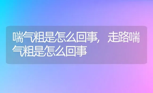 喘气粗是怎么回事,走路喘气粗是怎么回事 | 宠物百科知识