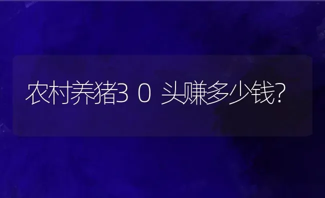 农村养猪30头赚多少钱？ | 动物养殖百科