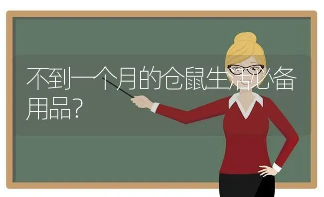 不到一个月的仓鼠生活必备用品？ | 动物养殖问答