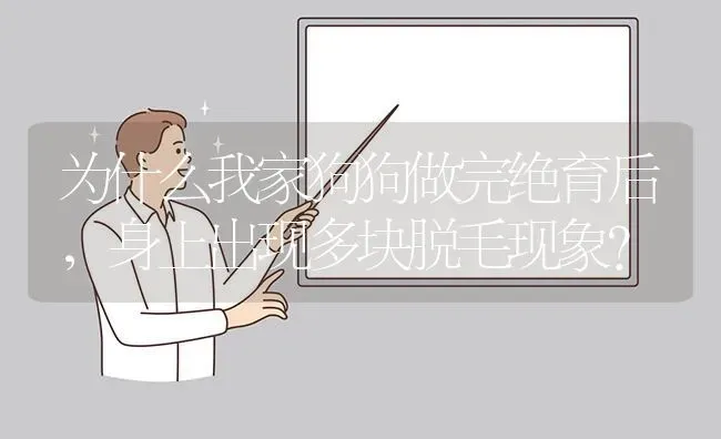 为什么我家狗狗做完绝育后，身上出现多块脱毛现象？ | 动物养殖问答