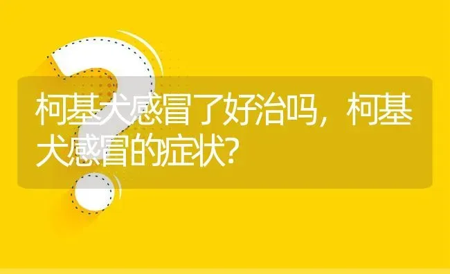 柯基犬感冒了好治吗，柯基犬感冒的症状？ | 动物养殖问答