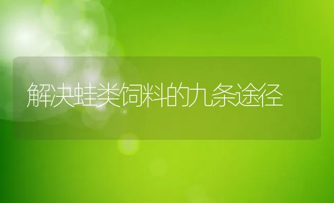 解决蛙类饲料的九条途径 | 动物养殖学堂