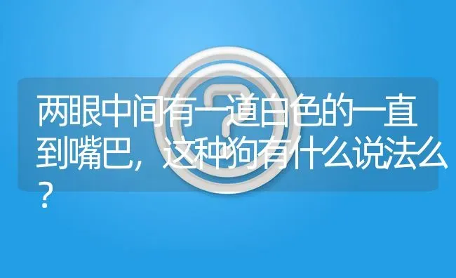 两眼中间有一道白色的一直到嘴巴，这种狗有什么说法么？ | 动物养殖问答