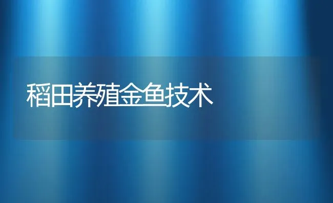 稻田养殖金鱼技术 | 水产养殖知识