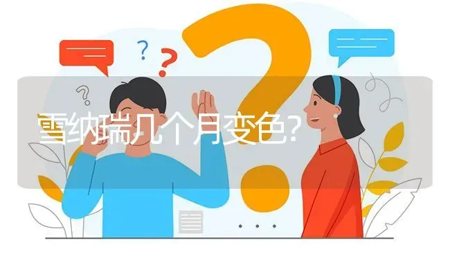 雪纳瑞几个月变色？ | 动物养殖问答