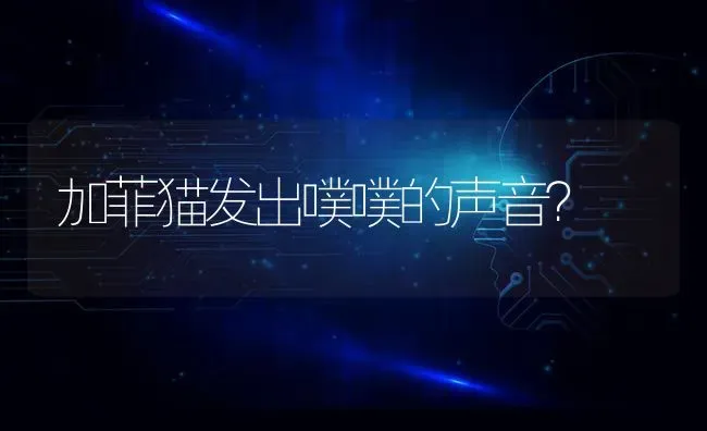 加菲猫发出噗噗的声音？ | 动物养殖问答