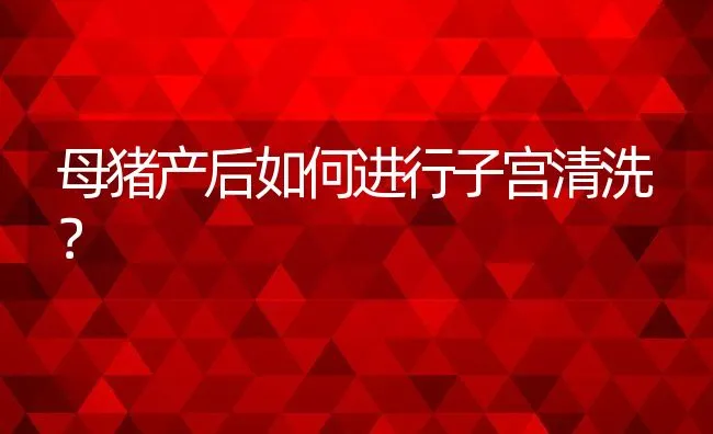 黄鳝小池密养关键技术 | 海水养殖技术