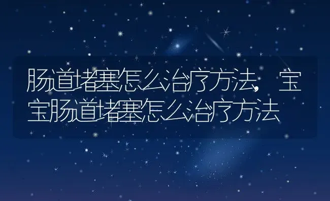 肠道堵塞怎么治疗方法,宝宝肠道堵塞怎么治疗方法 | 宠物百科知识