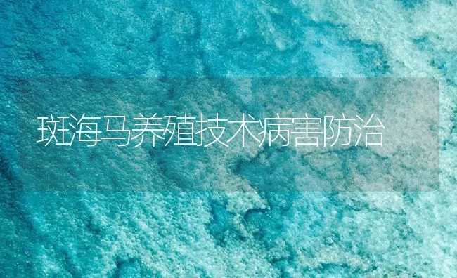 河蟹生长期的管理技术 | 海水养殖技术