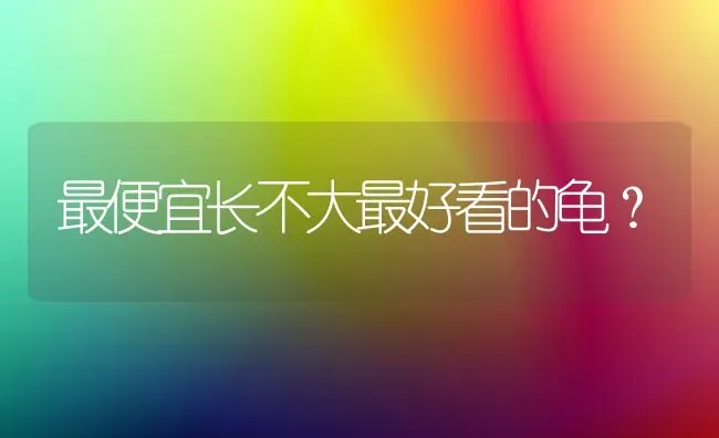 给我家狗起名字，带红字，两个字是德国牧羊犬？ | 动物养殖问答