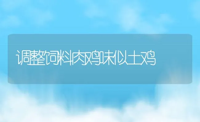 调整饲料肉鸡味似土鸡 | 动物养殖饲料