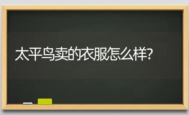 太平鸟卖的衣服怎么样？ | 动物养殖问答