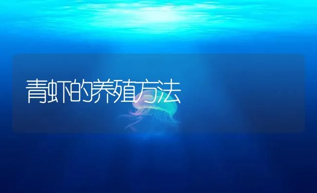 青虾的养殖方法 | 海水养殖技术