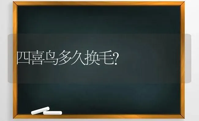 四喜鸟多久换毛？ | 动物养殖问答