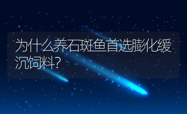 为什么养石斑鱼首选膨化缓沉饲料？ | 动物养殖教程