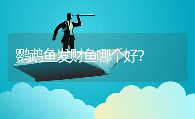 鹦鹉鱼发财鱼哪个好？ | 鱼类宠物饲养