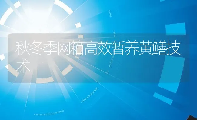 秋冬季网箱高效暂养黄鳝技术 | 动物养殖饲料