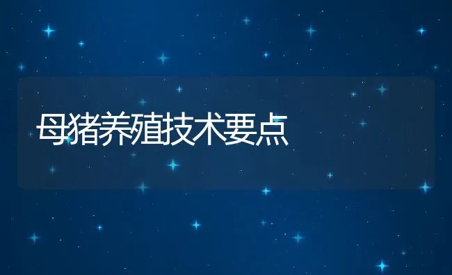 母猪养殖技术要点 | 动物养殖学堂