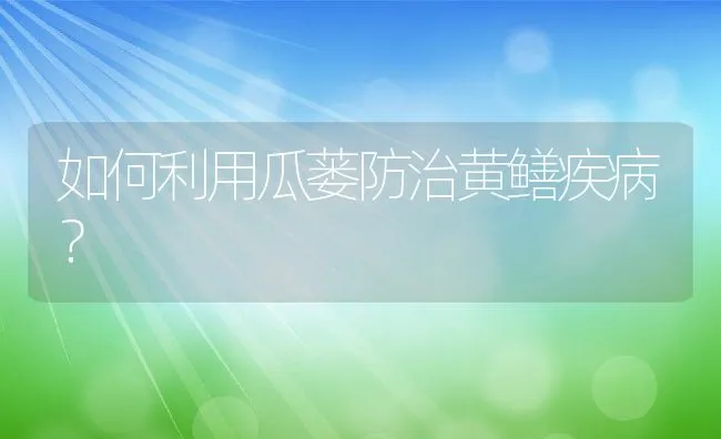 如何利用瓜蒌防治黄鳝疾病？ | 动物养殖学堂