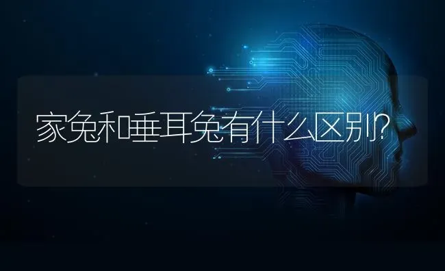 一年的狗怎么让耳朵立起来？ | 动物养殖问答