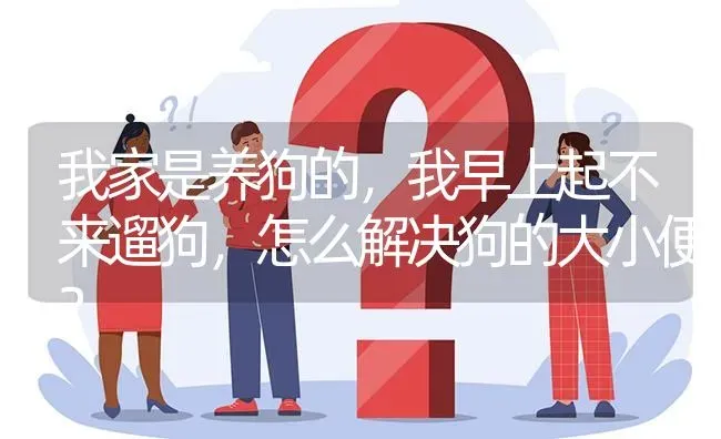 我家是养狗的，我早上起不来遛狗，怎么解决狗的大小便？ | 动物养殖问答