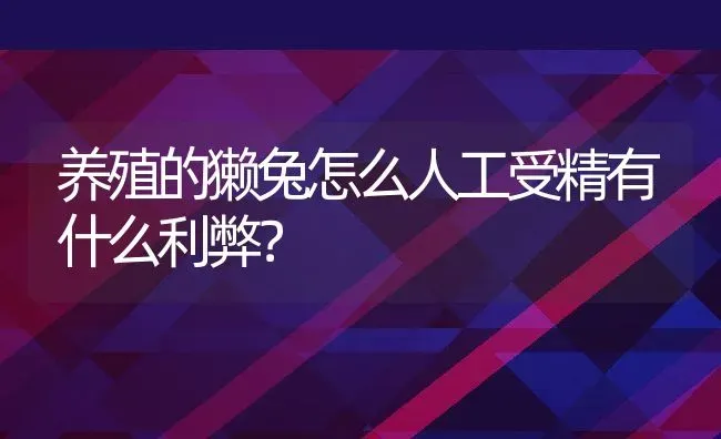 养殖的獭兔怎么人工受精有什么利弊？ | 动物养殖百科