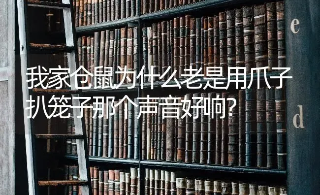 我家仓鼠为什么老是用爪子扒笼子那个声音好响？ | 动物养殖问答