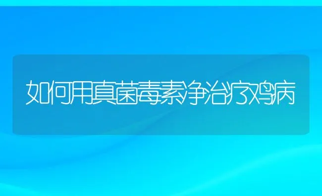 如何用真菌毒素净治疗鸡病 | 动物养殖学堂