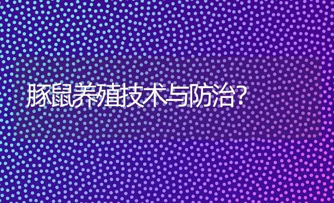 小猫吐酸水是不是吃坏东西了？ | 动物养殖问答