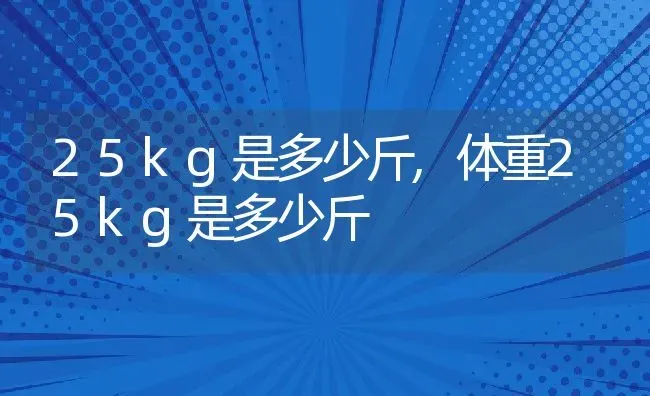 25kg是多少斤,体重25kg是多少斤 | 宠物百科知识