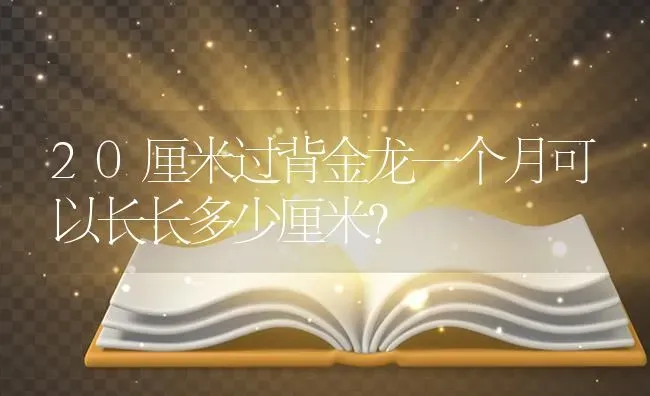 20厘米过背金龙一个月可以长长多少厘米？ | 鱼类宠物饲养