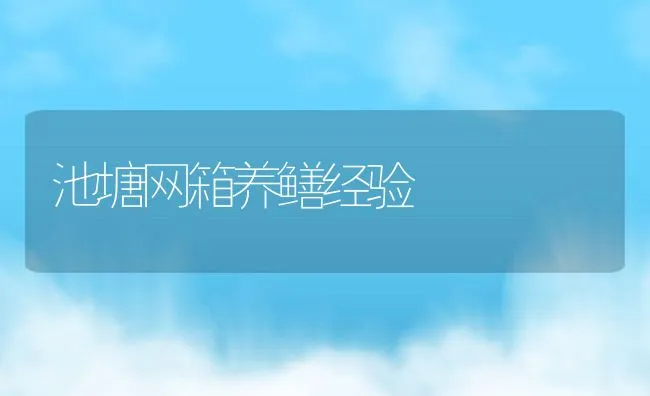 池塘网箱养鳝经验 | 动物养殖饲料