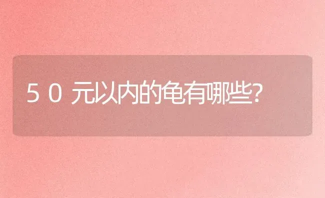 比熊皮肤颜色对照表？ | 动物养殖问答