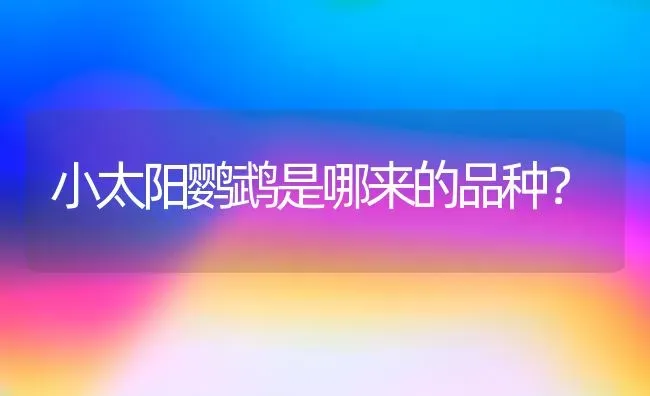 金毛什么时候变？ | 动物养殖问答