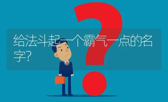 给法斗起一个霸气一点的名字？ | 动物养殖问答